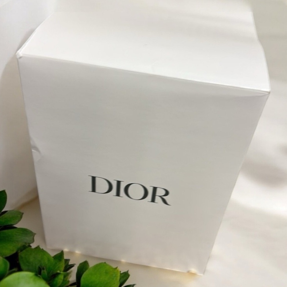 Dior White Canvas Bucket Embroidered Logo Bag with Box - Picture 5 of 6